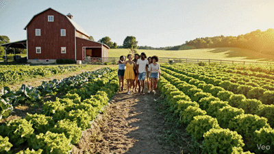 An Expert Analysis of Agricultural Tourism (Agritourism): Economic Diversification, Sustainability Dynamics, and Operational Risk&nbsp;Management