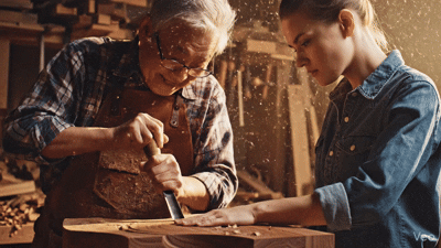 The AI-Augmented Professional: Strategy, Governance, and the Transformation of Expertise in High-Stakes&nbsp;Domains